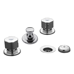 BIDET C/TRANSFERENCIA FV ARIZONA PLUS CR.295/B1P