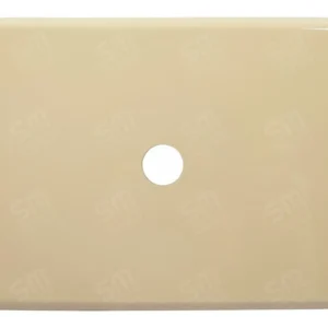 TAPA P/DEPOSITO UREA ARIEL VAINILLA