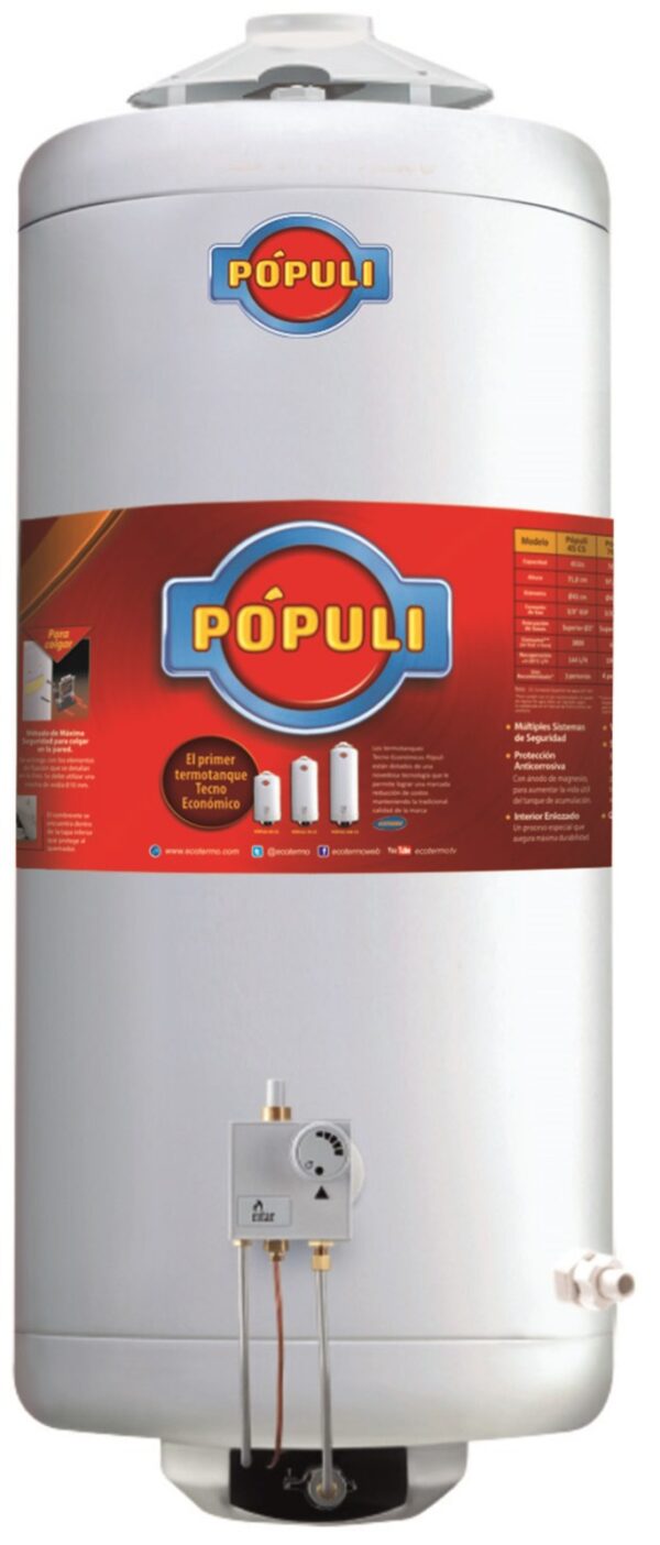 Termotanque Ecotermo 70Lts +  Flexible Listo para Conectar!! - Imagen 2