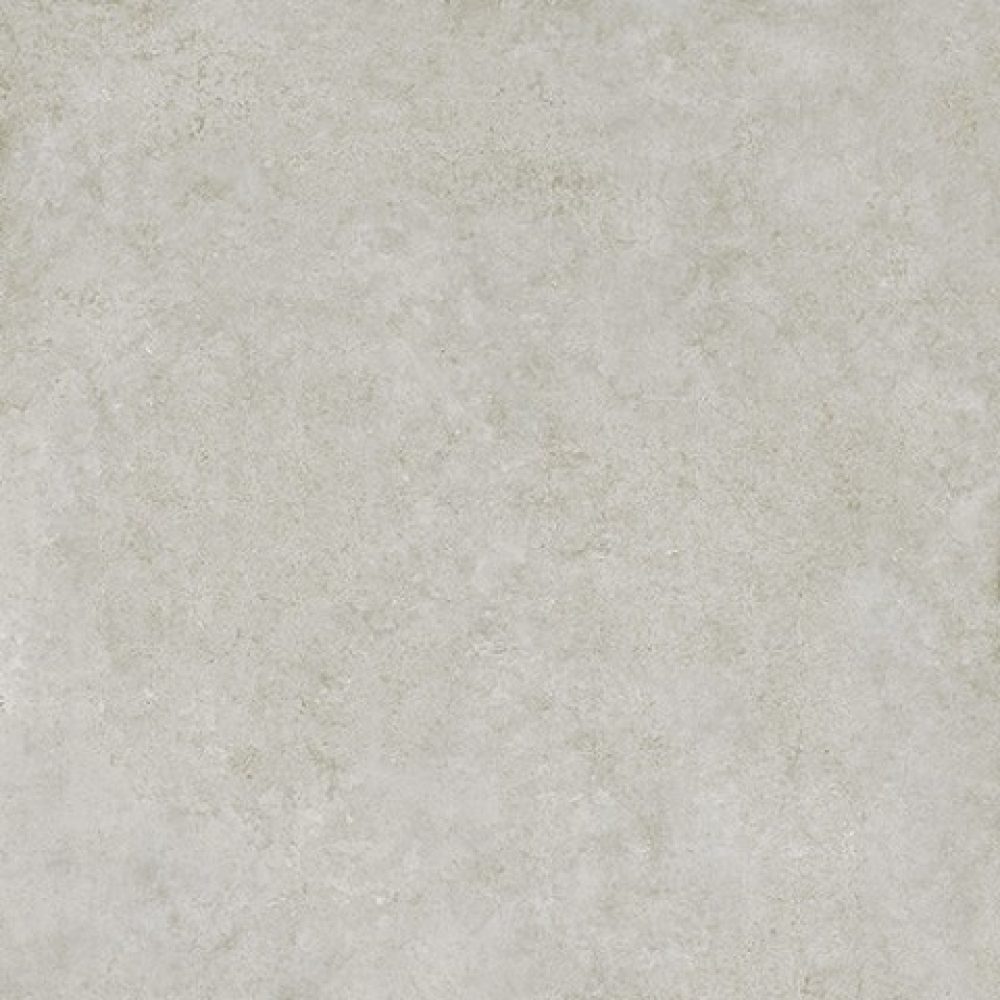 californiagrisclarocara01